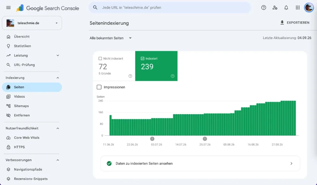 Google Search Console Performance Dashboard Auswertung