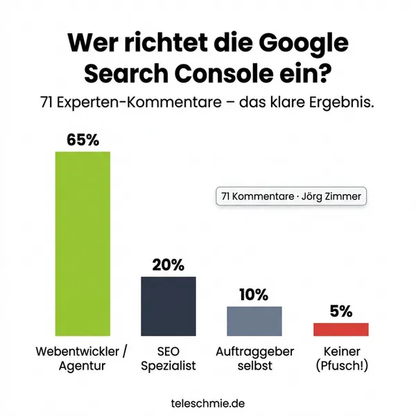 Balkendiagramm: Wer richtet die Google Search Console ein? – Webentwickler 65%, SEO 20%, Auftraggeber 10%, Keiner 5%