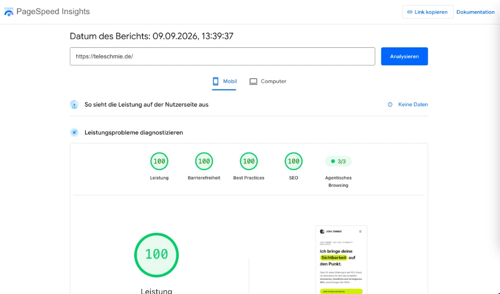 Authentischer Praxistest: Google PageSpeed Insights erzielt 100 von 100 Punkten in allen vier Kategorien für teleschmie.de