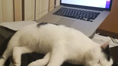 SEO-Sprechstunde mit Jörg Zimmer - Die Grill-Analyse