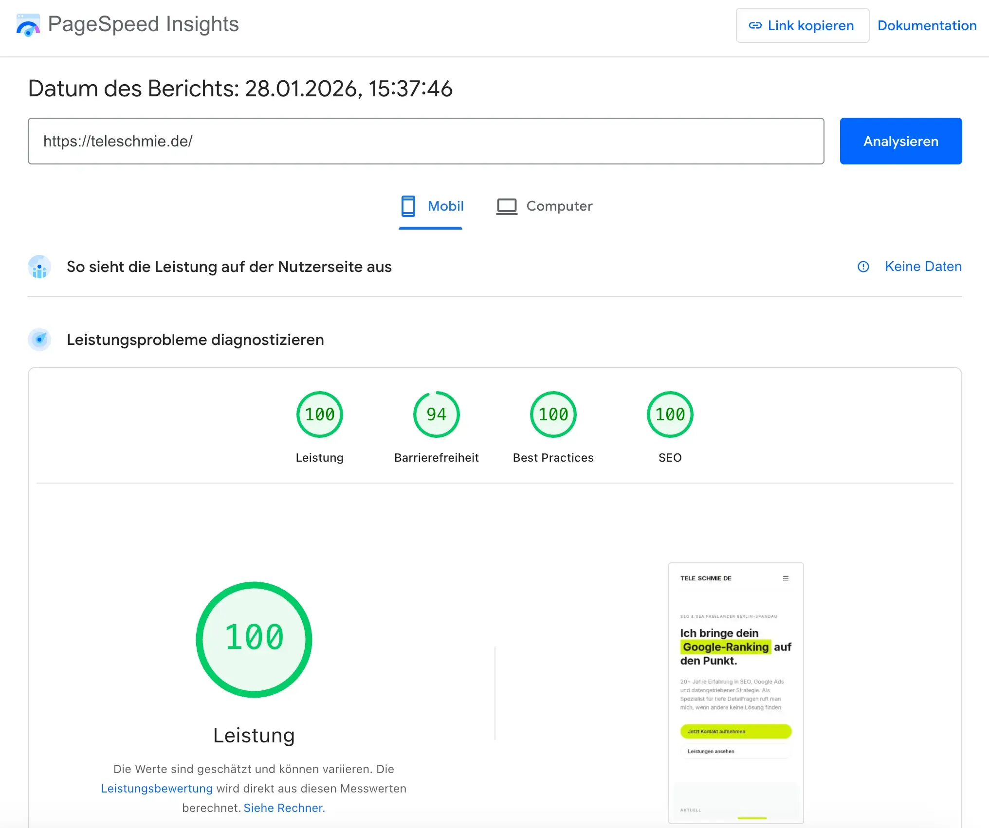 PageSpeed 100 und Core Web Vitals: Performance-Audit für maximale Nutzererfahrung